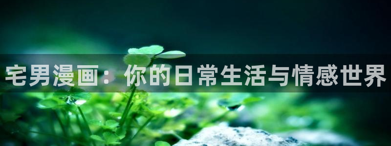 古风腐漫
